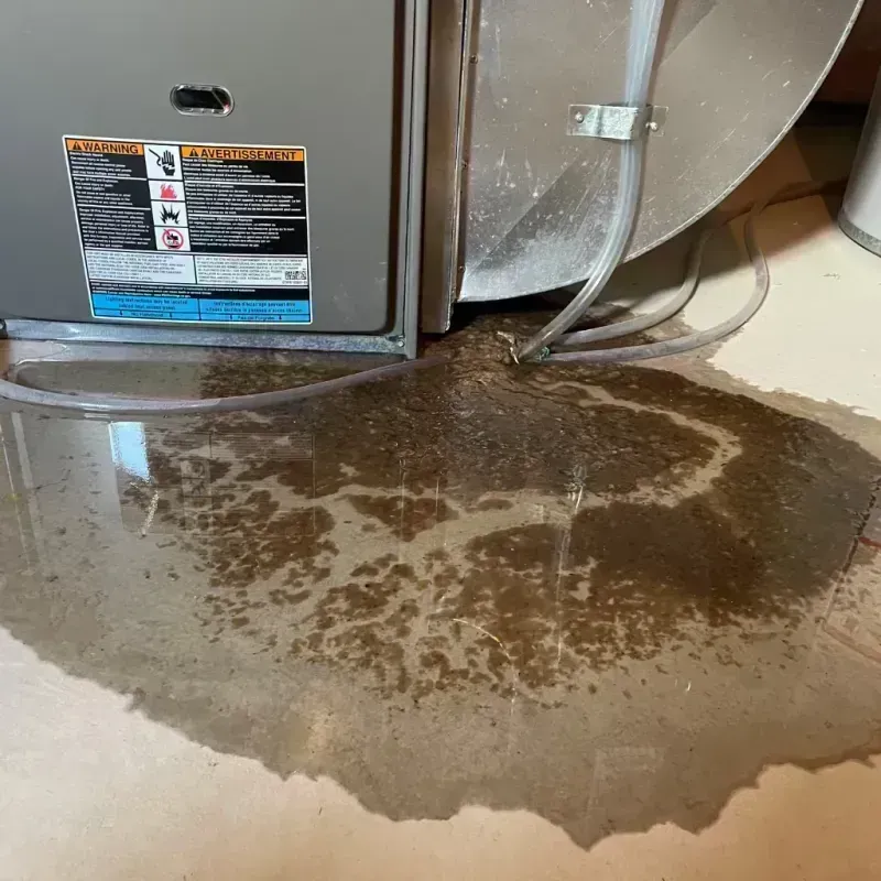 Appliance Leak Cleanup in Pacific Grove, CA